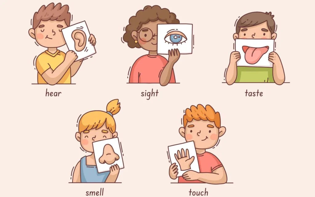 Sensory Integration in Occupational therapy