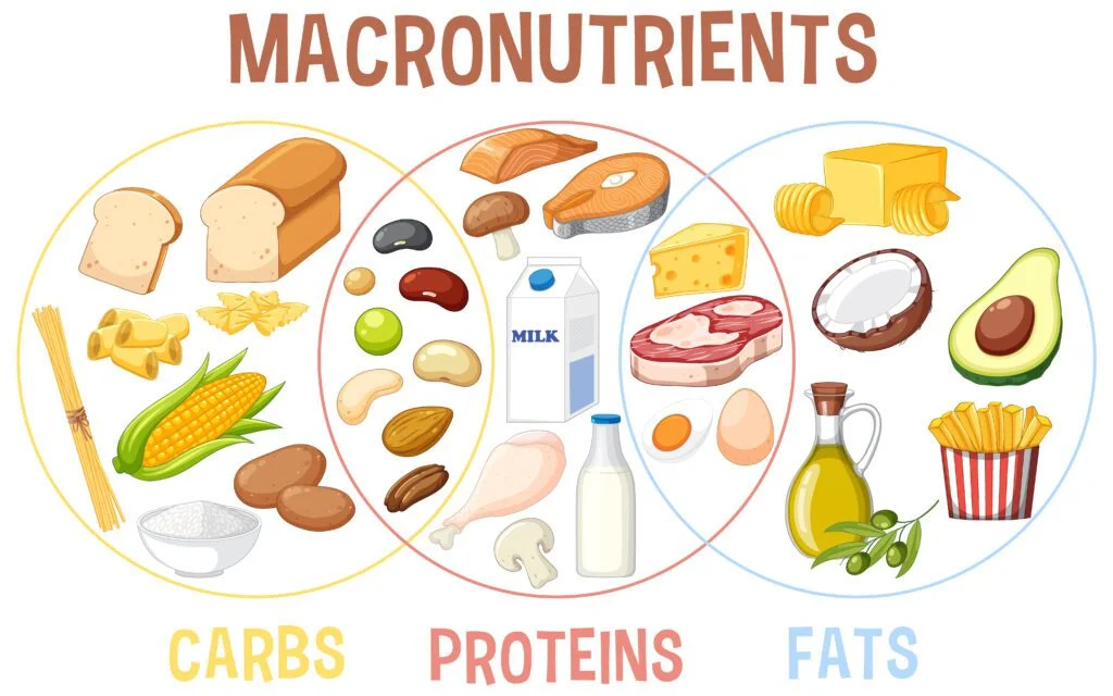 Macronutrients (Carbs, Proteins and Fat) for ADHD People | op 3 Food Categories for ADHD