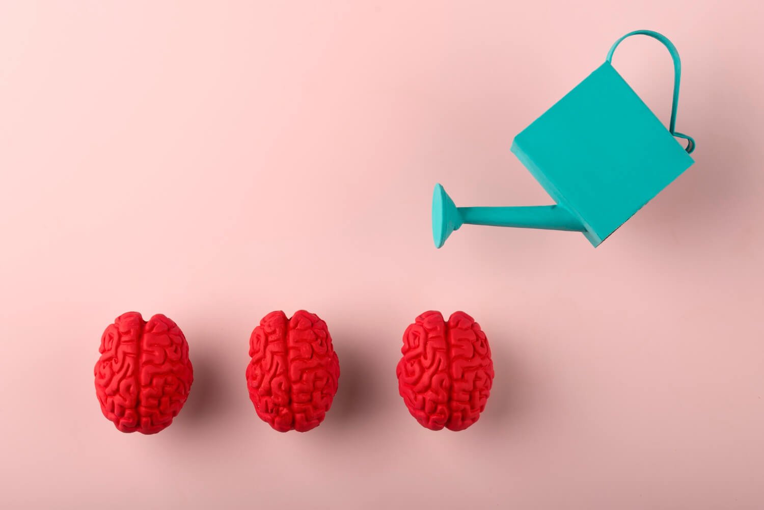 Brain Fitness Programs for ADHD