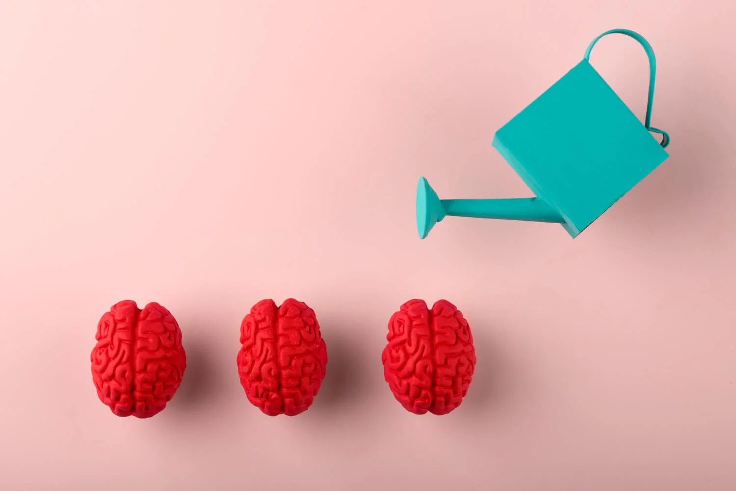 Brain Fitness Programs for ADHD